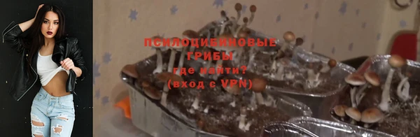 MESCALINE Алзамай
