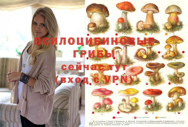 таблы Алексин