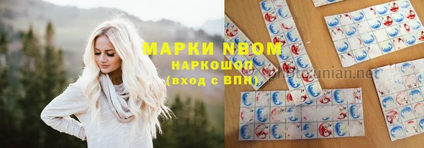 индика Алексеевка