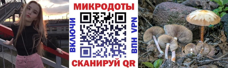 блэк спрут ссылки  где купить наркоту  Мышкин  Псилоцибиновые грибы MAGIC MUSHROOMS 